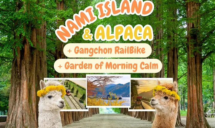 Alpaca World Tour with Nami Island & opt Railbike or Garden/Park