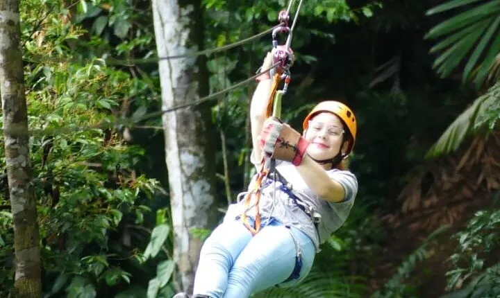 Miraflores Locks+ Sloth Sanctuary + Canopy in Gamboa Rain Forest