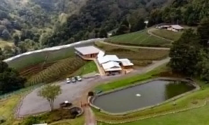 Wine Tour and Tasting