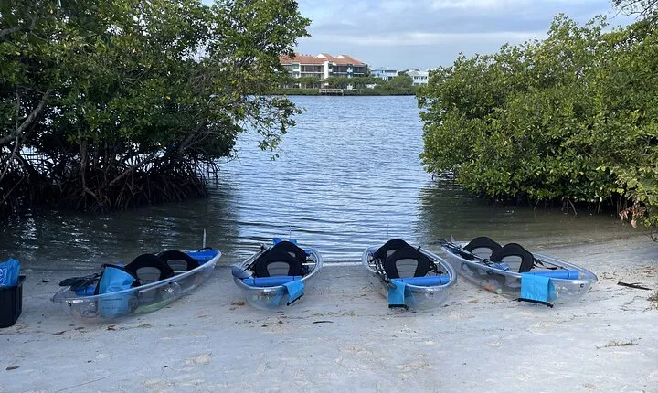Clear Kayak Eco Tour in Jupiter, Florida