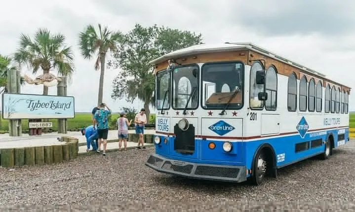 Savannah to Tybee Island with Dolphin Cruise