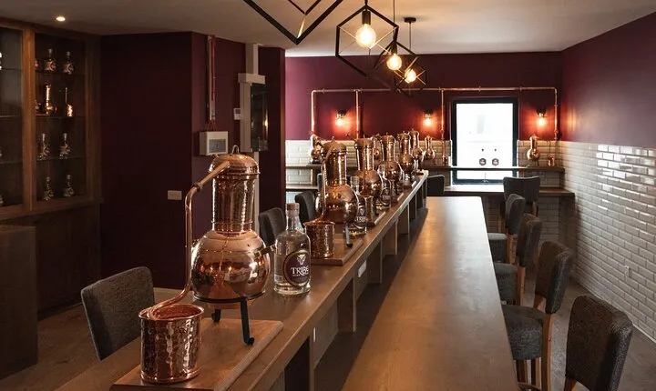 Tribe Gin School Experience in Galway