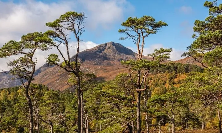 Meandering Through The Highlands of Scotland (West)