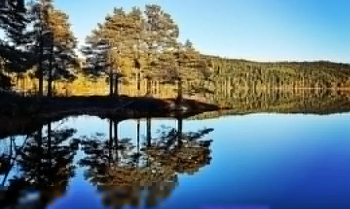 Explore the beautiful nature of Trondheim