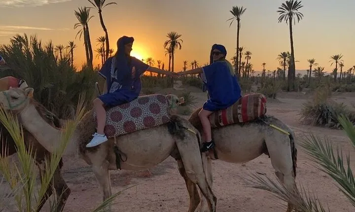 Sunset Camel Ride in Agadir or Taghazout With Transfers