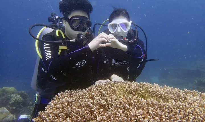 Discover Diving