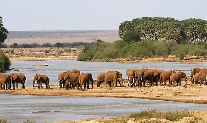 2 Days Hluhluwe Imfolozi and Isimangaliso W Park Tour from Durban