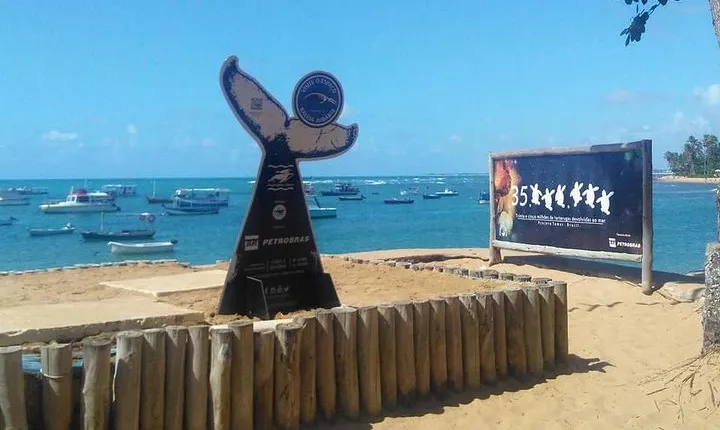 Regular Tour to Forte Beach - Leaving Salvador by Bahia Top Turismo