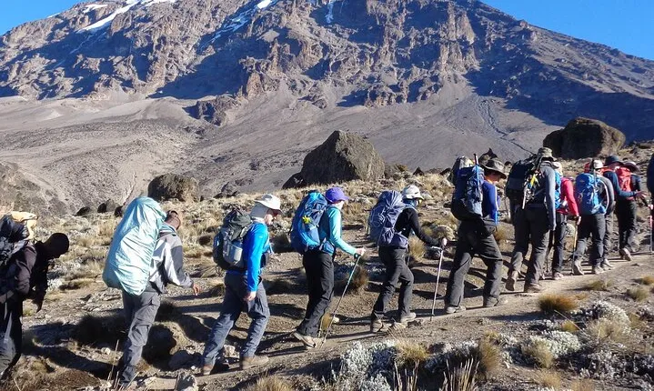 Mount Kenya National Park Full-Day Hike