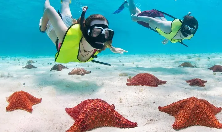 Cayman 3 in 1 Combo: Starfish Point, Stingrays and Reefs