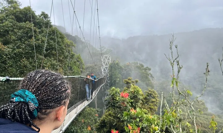 1 Day Nyungwe Canopy Walk & Waterfall Adventure