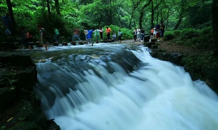 Half-Day Hangzhou Jiuxi Stream and Tea Plantation Experience