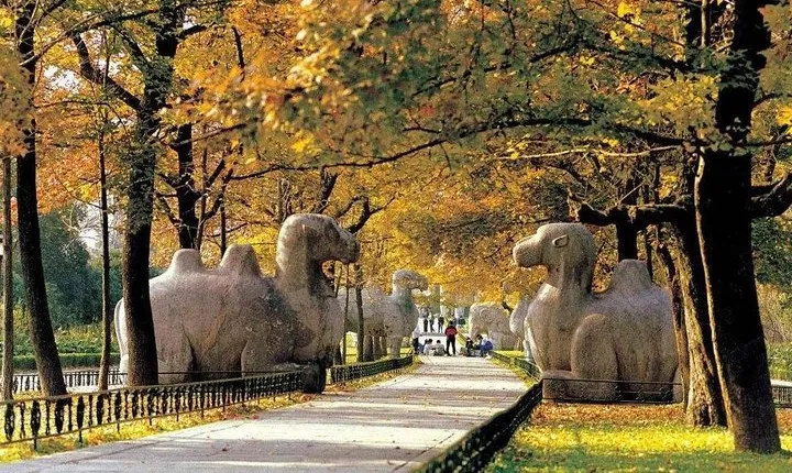 Nanjing Ancient Impression Private Day Tour with Lunch