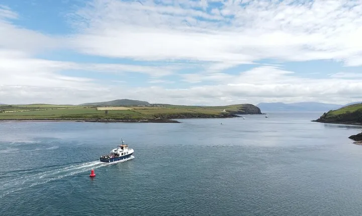 Boat Tour of Dingle Peninsula