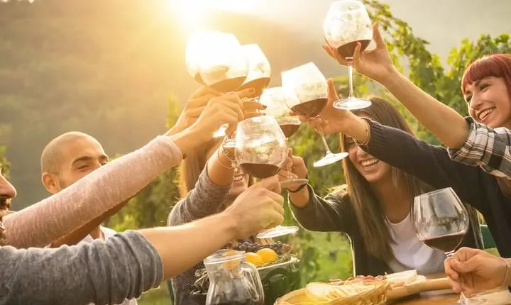 Yarra Valley, Dandenong Ranges inc. lunch with wine,plus morning tea,chocolate