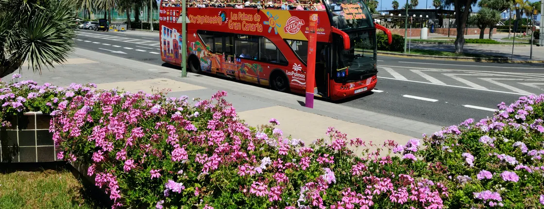 Hop-On Hop-Off Las Palmas de Gran Canaria 24hr Bus