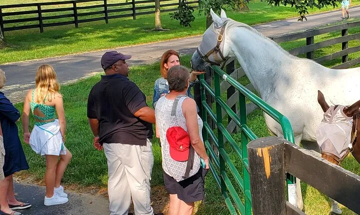 Unique Horse Farm Tours with Insider Access to Private Farms