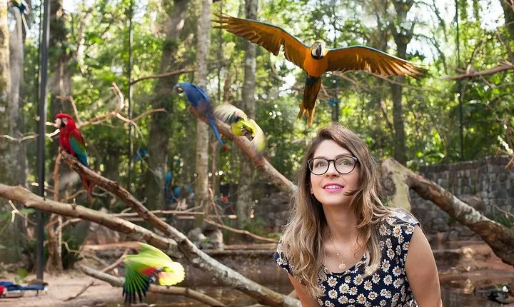 Bird Park & Iguassu Brazilian Side From Puerto Iguazú Hotels - Private Tour