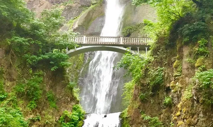Small Group: Columbia River Gorge Waterfalls Tour from Portland