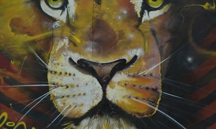 Graffiti Tour of Medellin