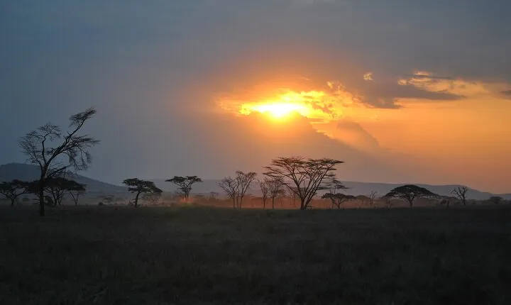 4 Days Luxury Vacation in Serengeti NP Fly from Zanzibar