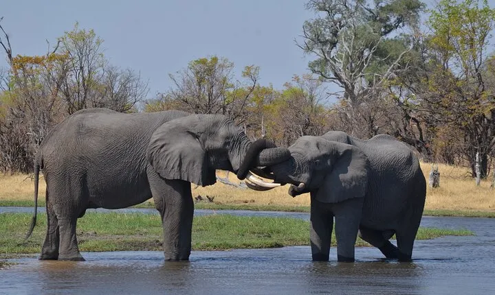 11 Days and 10 Nights Private Northern Explorer Tour 