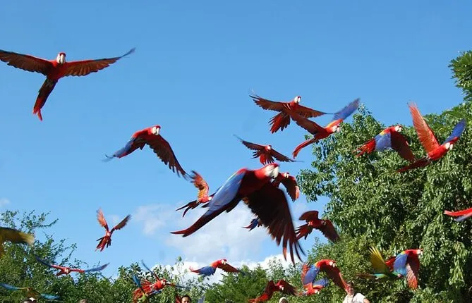 Tour of Los Aluxes Ecopark and Roberto Barrios Waterfalls