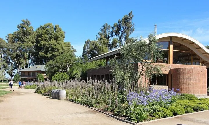 Private Tour World Biggest Organic Winery Emiliana & Valparaiso.