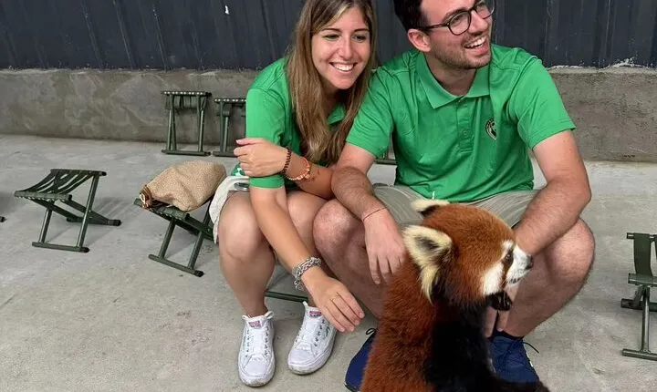 Unique One-Day Tour: Interactive Experience with Red Pandas