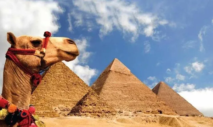 8 Day Egypt Highlights Cairo, Aswan, Nile Cruise, Abu Simbel, Balloon, Camel