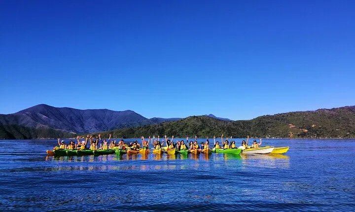 Full day Guided Sea Kayak Tour from Picton