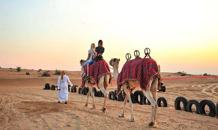 Dubai Desert 4x4 Dune Bashing, Self-Ride 30min ATV Quad, Camel Ride,Shows,Dinner