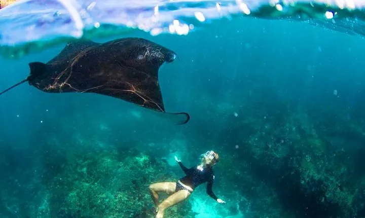 Nusa Penida Snorkeling & Kelingking Tour