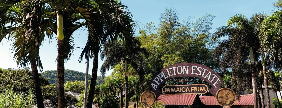 Appleton Rum tasting, YS Falls and Pelican Bar tour