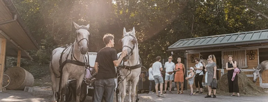 Secrets of the Viennese Fiaker and carriage ride in Vienna