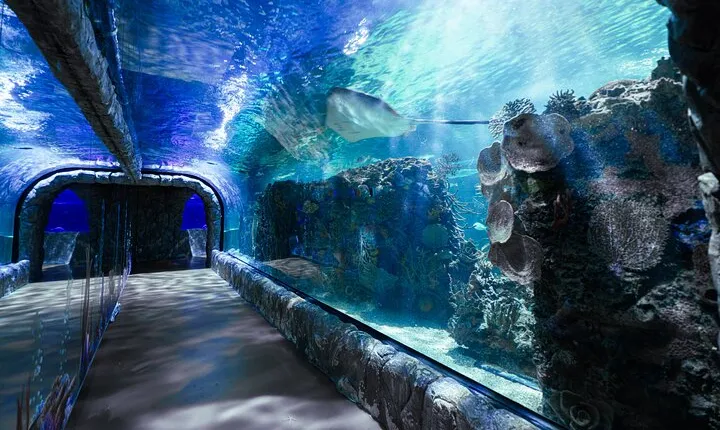 Inbursa Aquarium ticket
