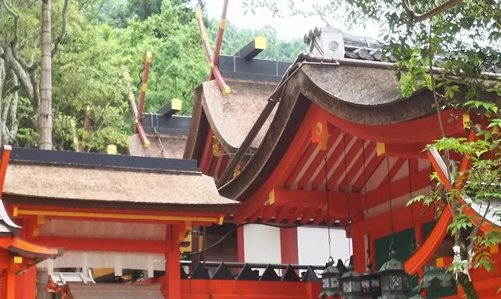 Relax in Nara: Deer Park, Todai-ji Temple and Merchants' Town
