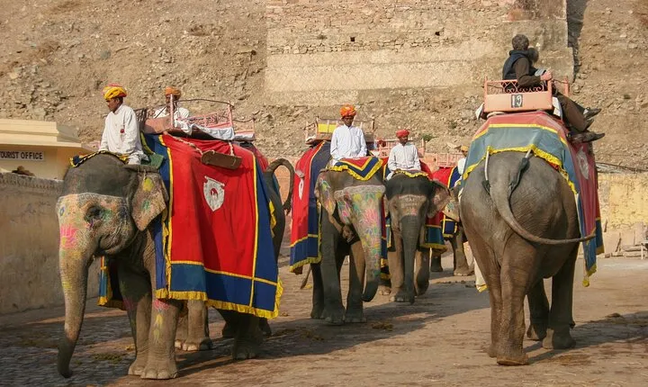 Jaipur Pink City Private Day Trip from Delhi