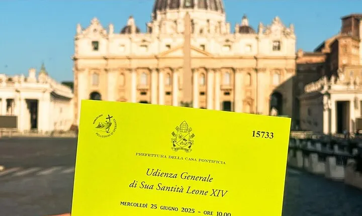 Papal Audience and Guided Tour for St. Peter's Basilica