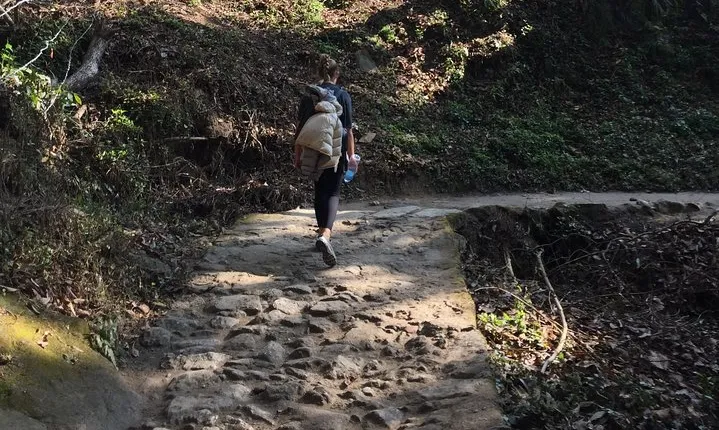Chisapani and Nagarkot 3-Day Hiking from Kathmandu