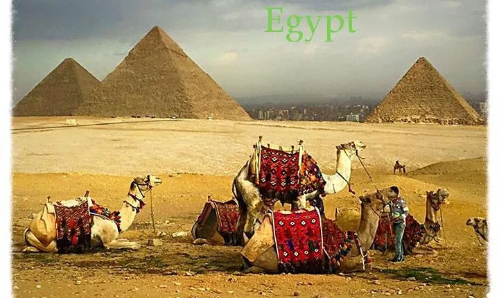 Tour to Giza pyramids, Sphinx & Saqqara step pyramid with private guide