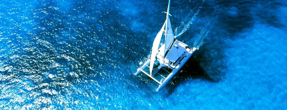 VIP Catamaran Cruise