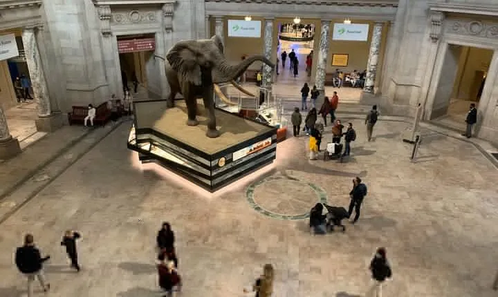 Smithsonian National Museum of Natural History with Guided Tour