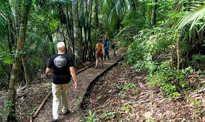 Guided hike in the Metropolitan Park of Panama