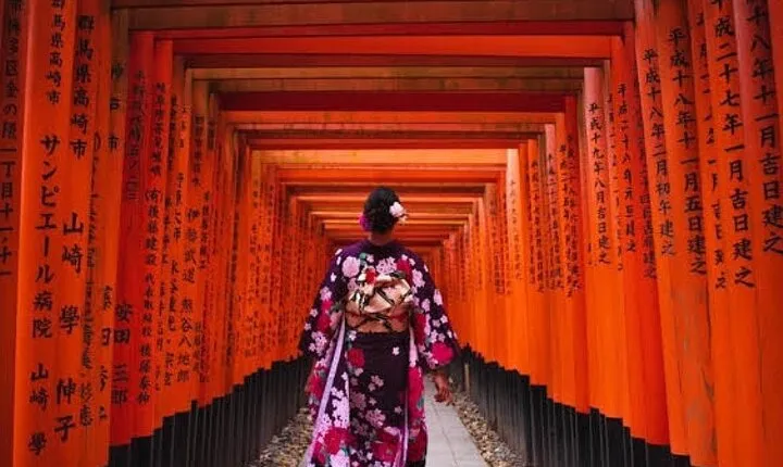 From Osaka/Kyoto : Private Kyoto & Nara Day Trip with Pickup