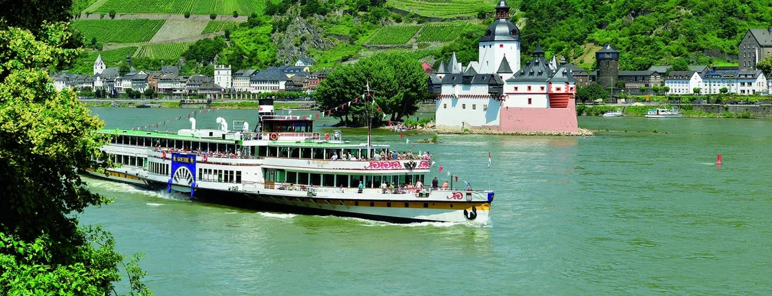 Castles sightseeing cruise on the Rhine
