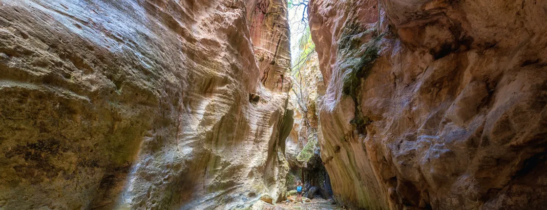Akamas Peninsula 4x4 Winter Tour