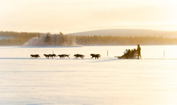 Rovaniemi Insider Husky Sleigh Ride Adventure on the Frozen Lake