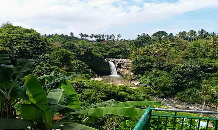 Private Tours Tegenungan Waterfall Ubud Palace & Market