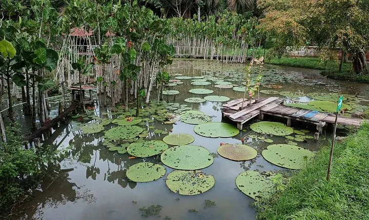 Amazon River Adventure Full Day Tour